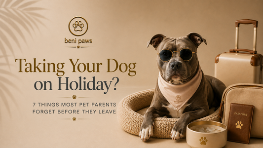 Taking Your Dog on Holiday? 7 Things Most Pet Parents Forget Before They Leave